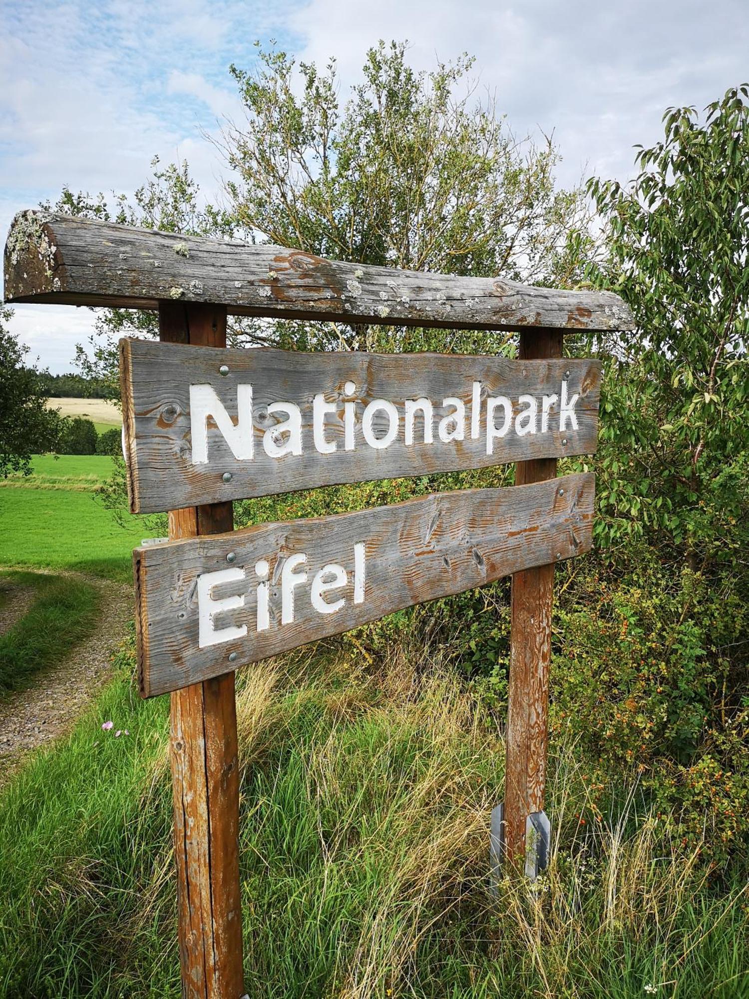 Ferienwohnung In Waldrandlage In Nationalpark Schleiden / Eifel Exteriér fotografie