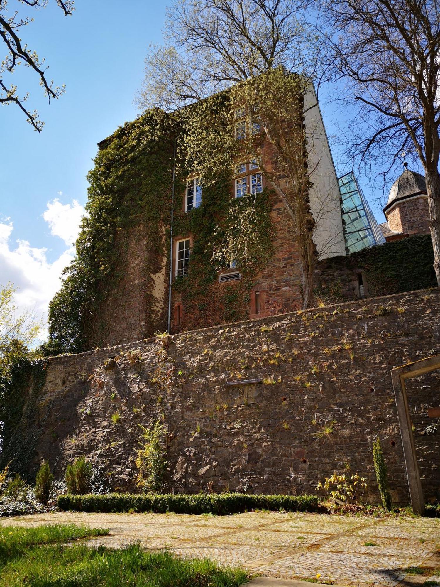Ferienwohnung In Waldrandlage In Nationalpark Schleiden / Eifel Exteriér fotografie