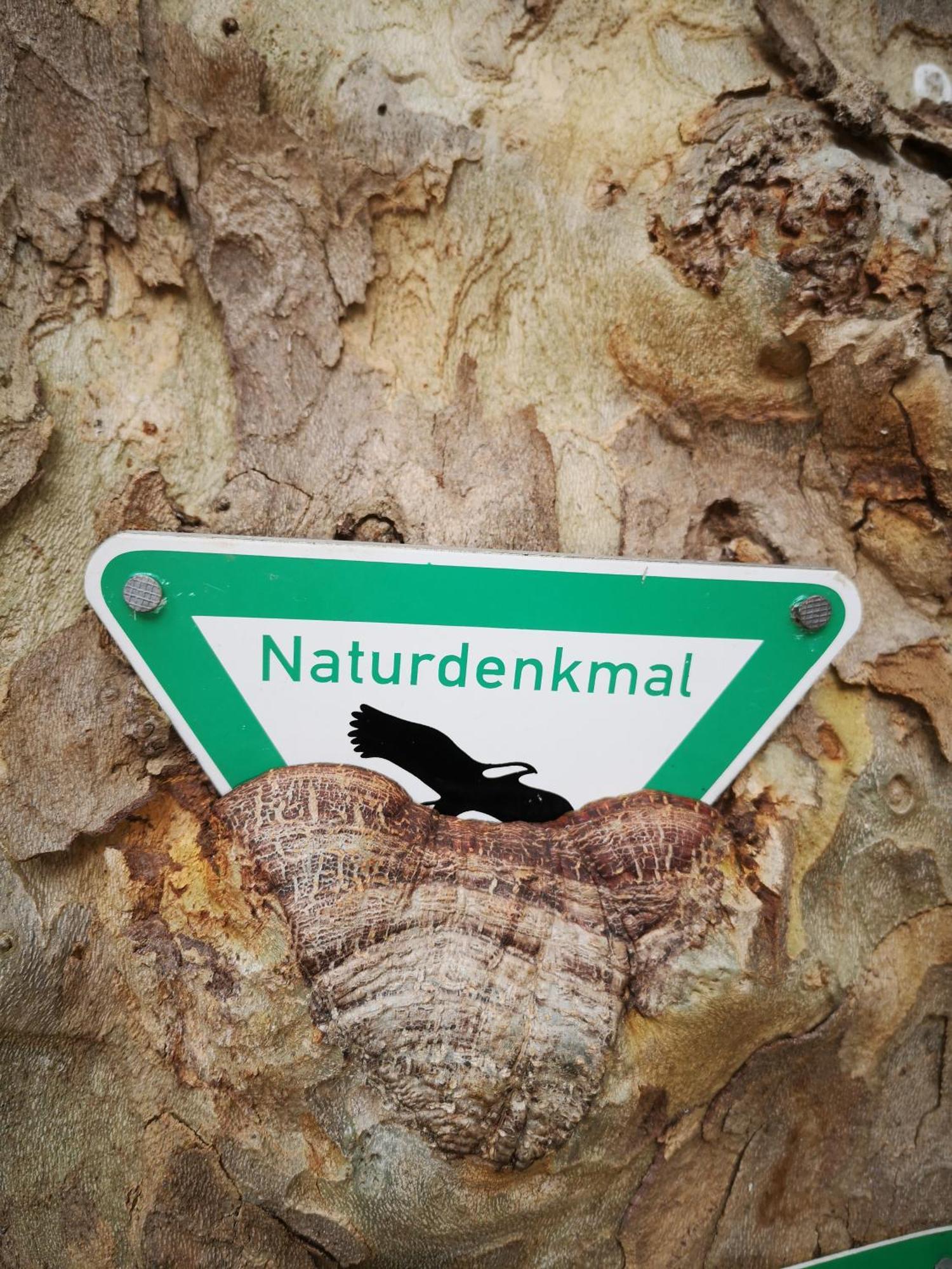 Ferienwohnung In Waldrandlage In Nationalpark Schleiden / Eifel Exteriér fotografie