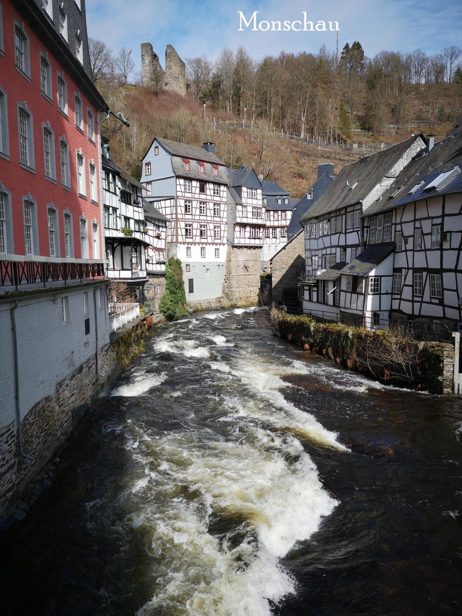 Ferienwohnung In Waldrandlage In Nationalpark Schleiden / Eifel Exteriér fotografie