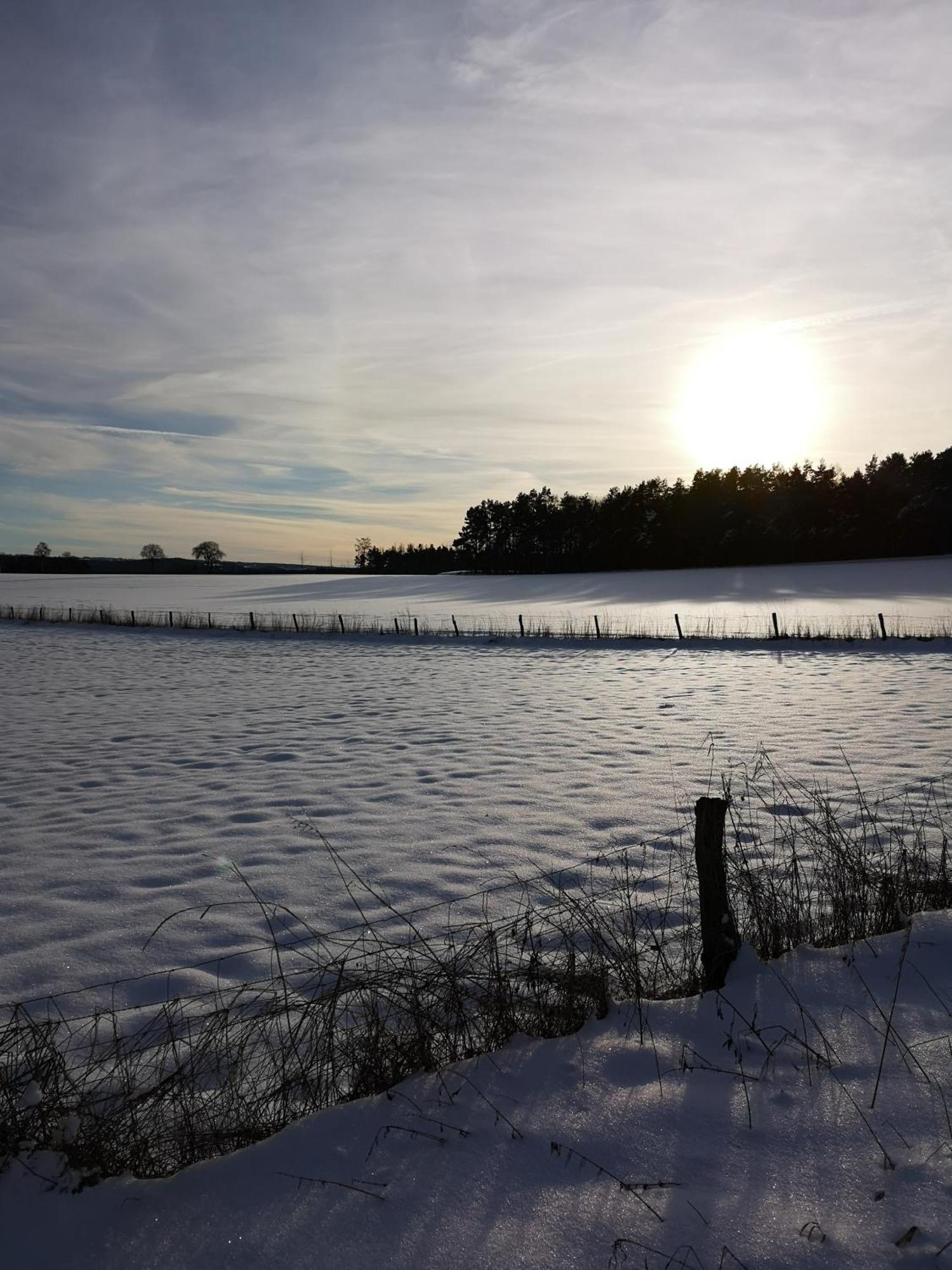 Ferienwohnung In Waldrandlage In Nationalpark Schleiden / Eifel Exteriér fotografie