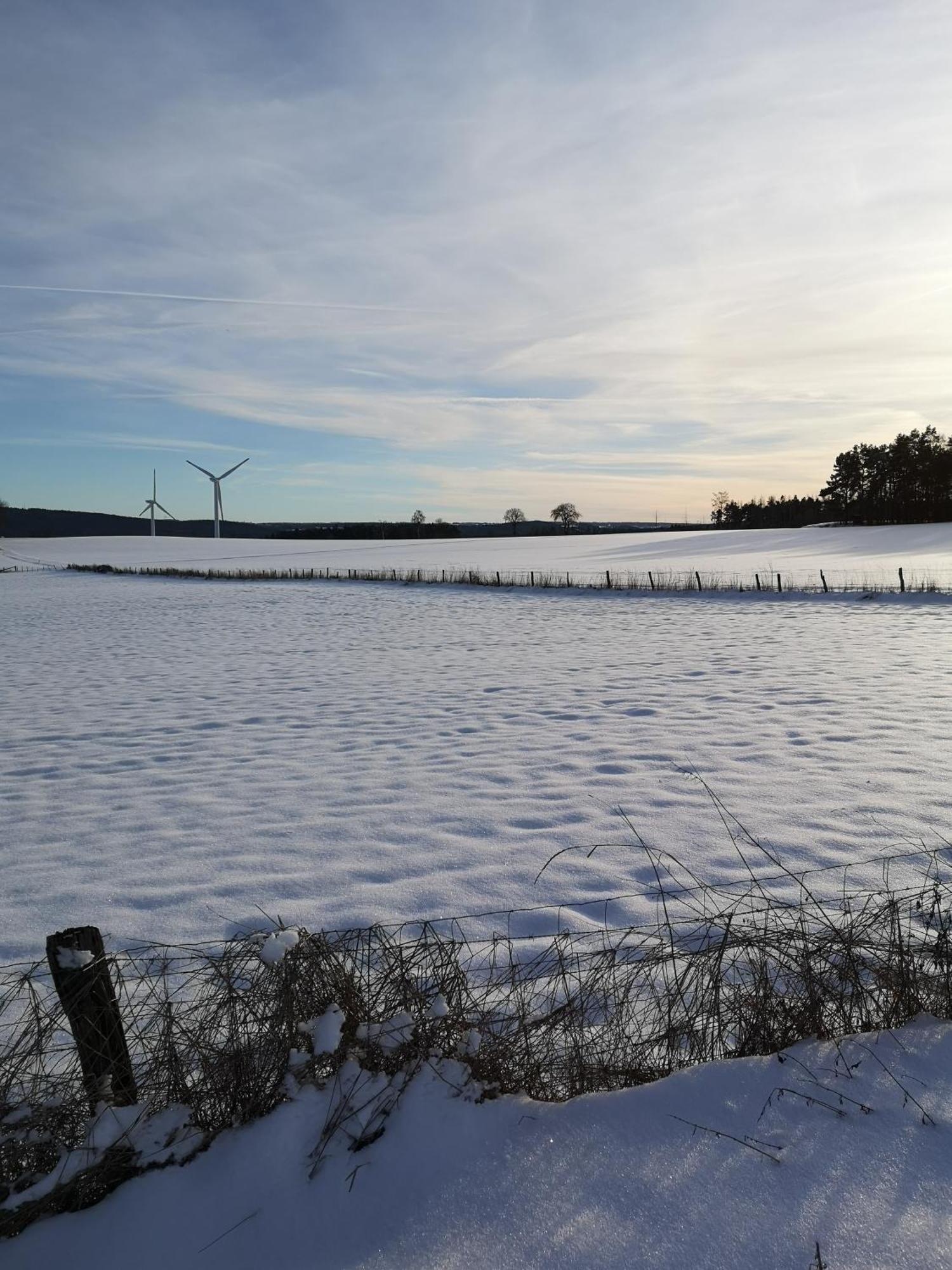 Ferienwohnung In Waldrandlage In Nationalpark Schleiden / Eifel Exteriér fotografie