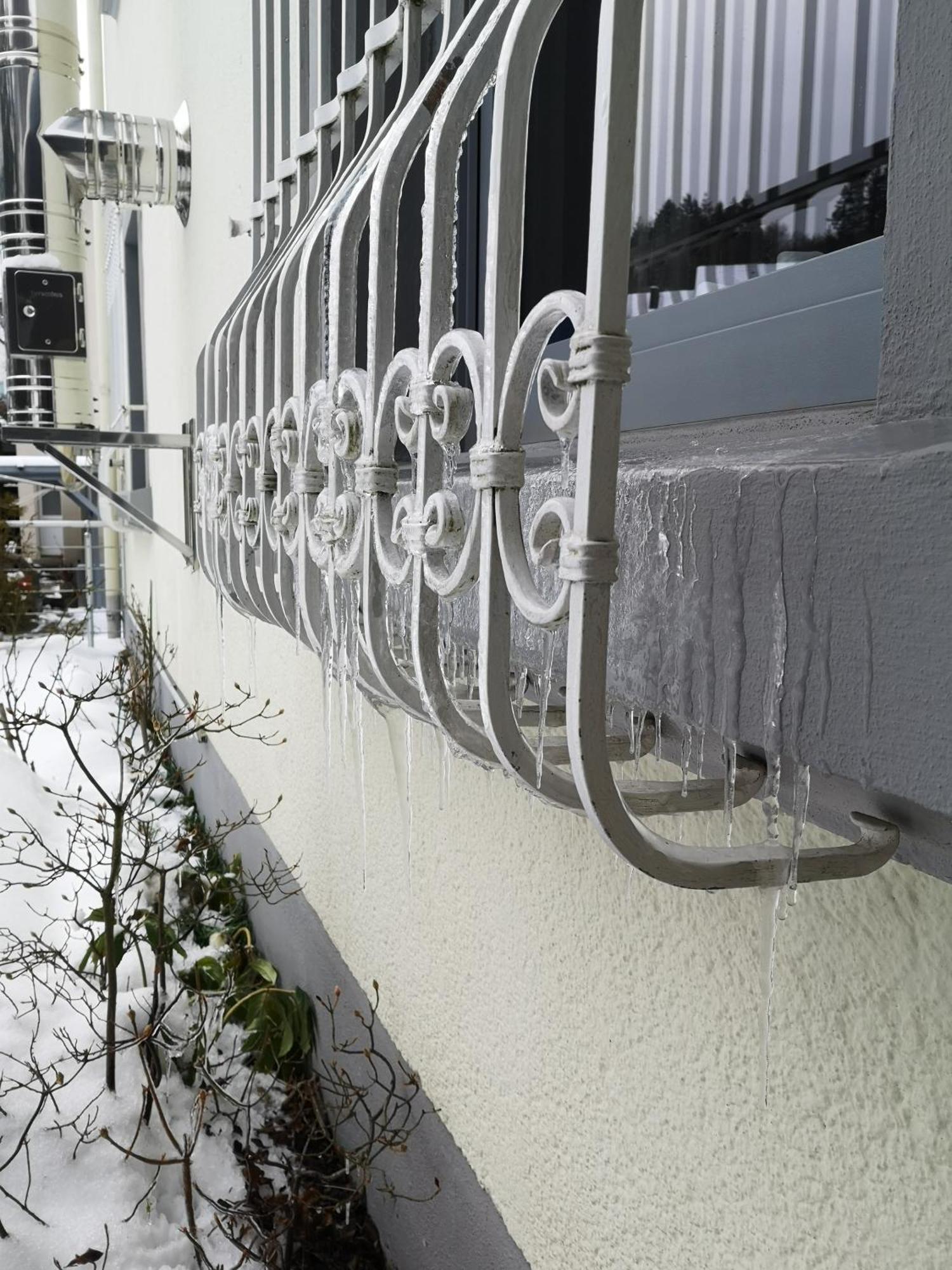 Ferienwohnung In Waldrandlage In Nationalpark Schleiden / Eifel Exteriér fotografie