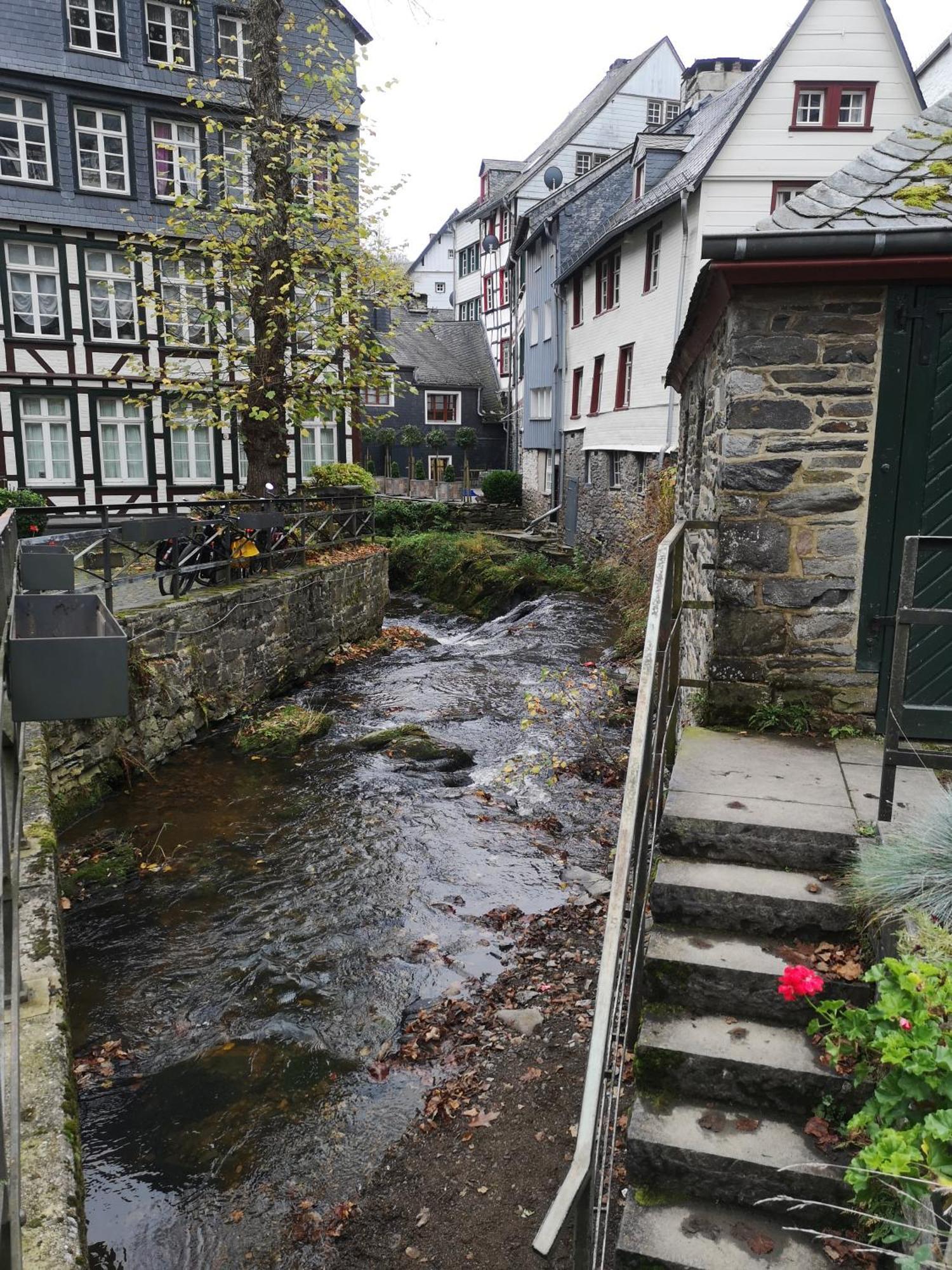 Ferienwohnung In Waldrandlage In Nationalpark Schleiden / Eifel Exteriér fotografie