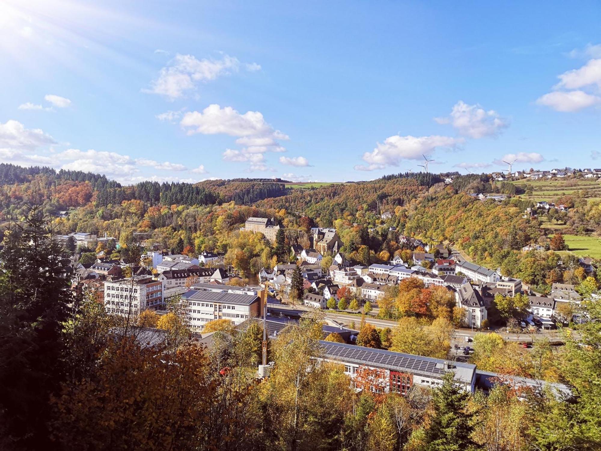 Ferienwohnung In Waldrandlage In Nationalpark Schleiden / Eifel Exteriér fotografie
