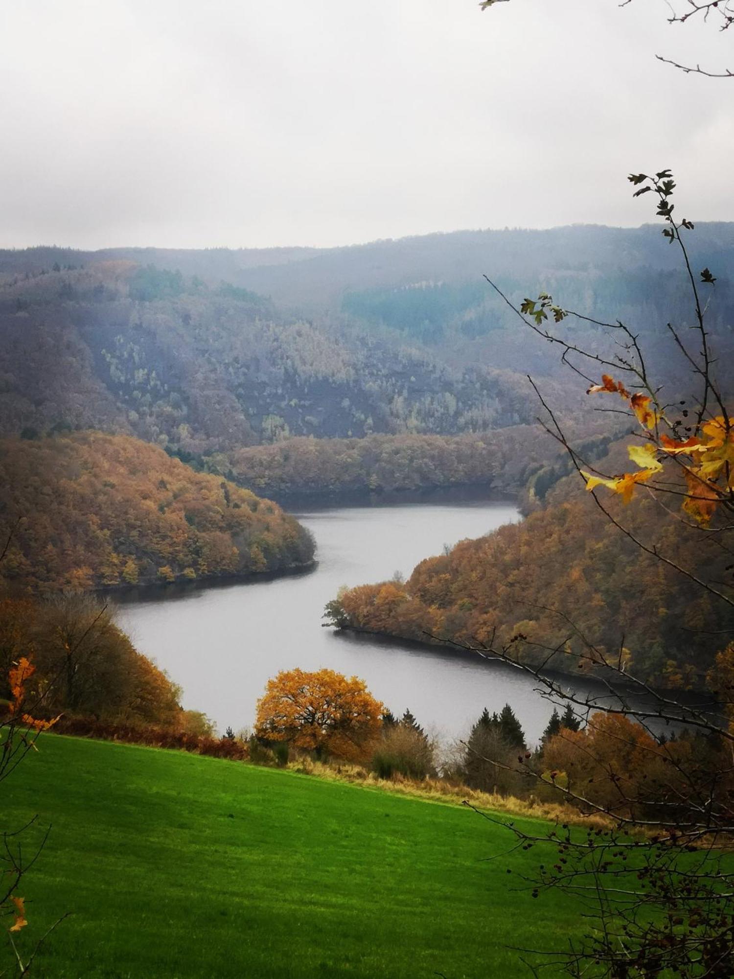 Ferienwohnung In Waldrandlage In Nationalpark Schleiden / Eifel Exteriér fotografie