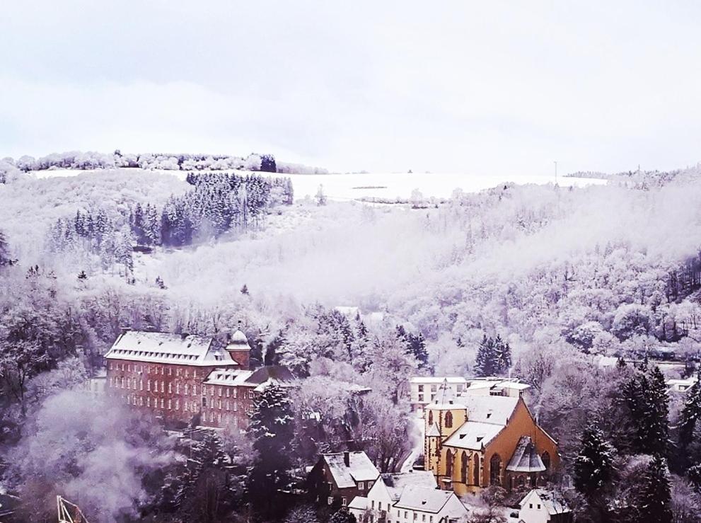 Ferienwohnung In Waldrandlage In Nationalpark Schleiden / Eifel Exteriér fotografie