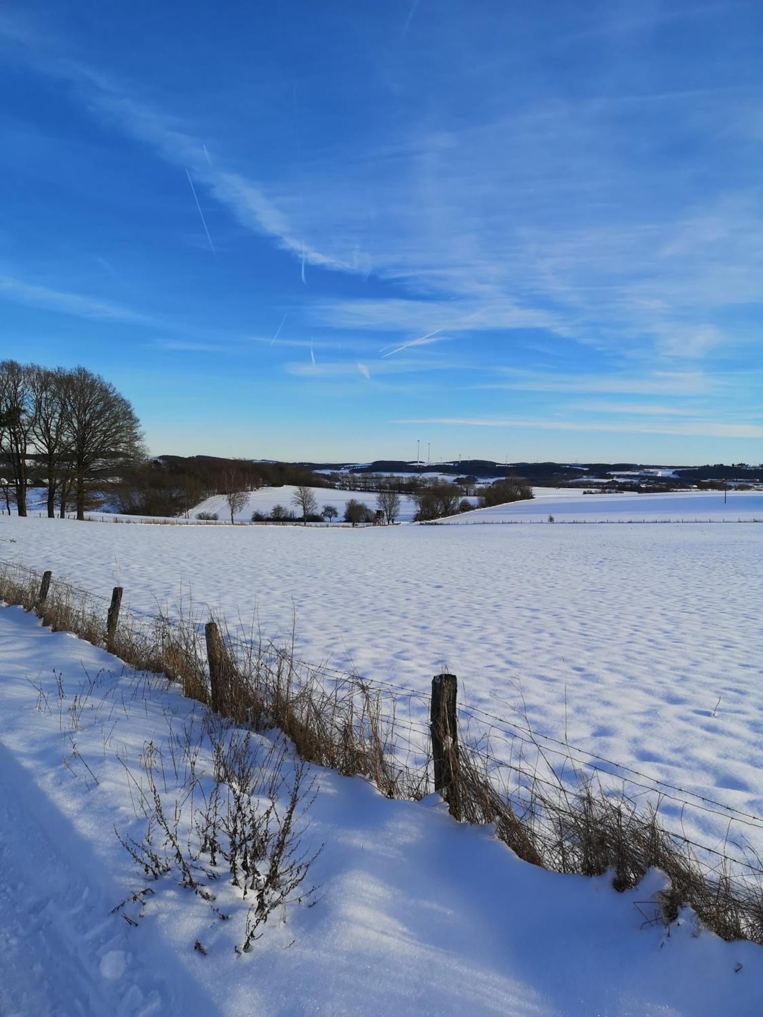 Ferienwohnung In Waldrandlage In Nationalpark Schleiden / Eifel Exteriér fotografie